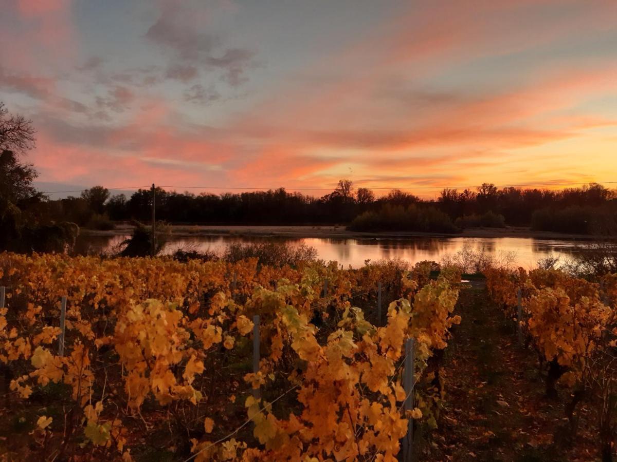 Apartmán Aux Nids D'Hirondelles Pouilly-sur-Loire Exteriér fotografie